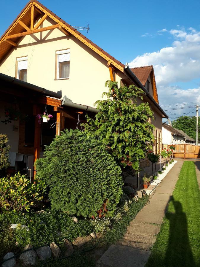 Anna Bathory Apartmanhaz * Hajdúszoboszló